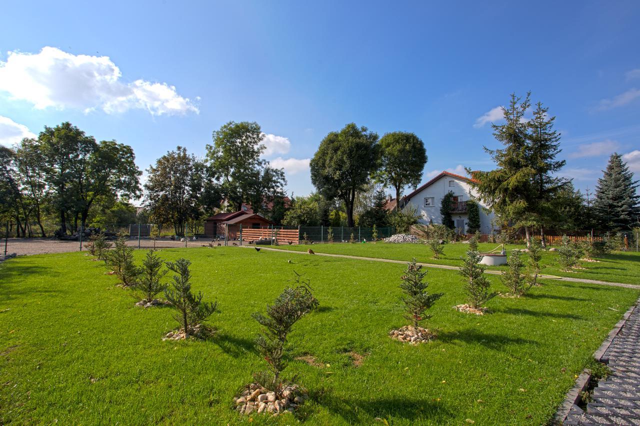 Róża